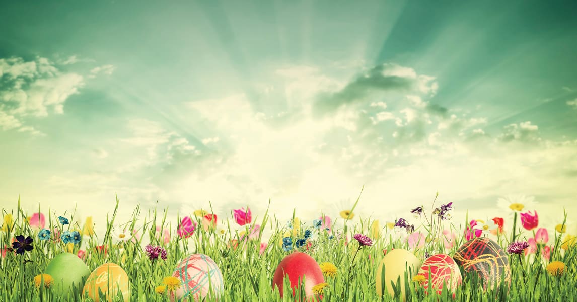 Featured image for “Centre Closure for Easter Holidays”