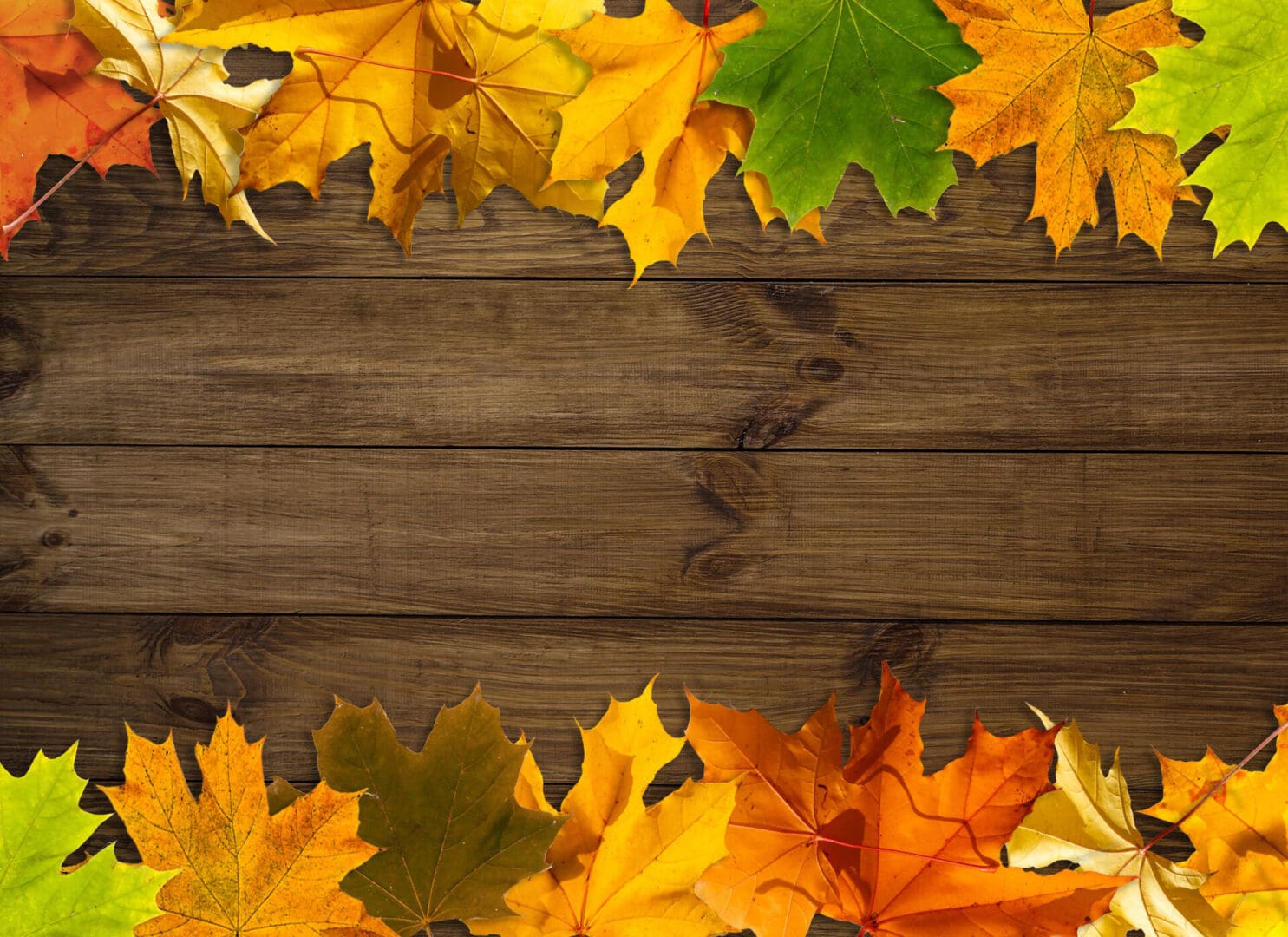 Featured image for “NEW CLASSES FOR FALL”