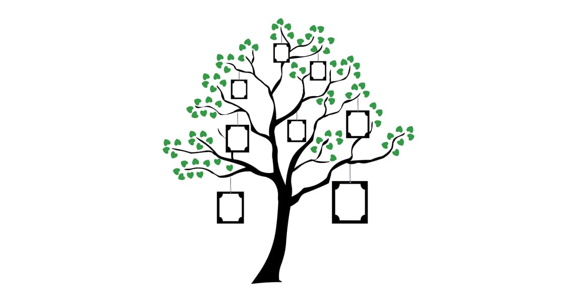 Featured image for “How to Build a Family Tree”