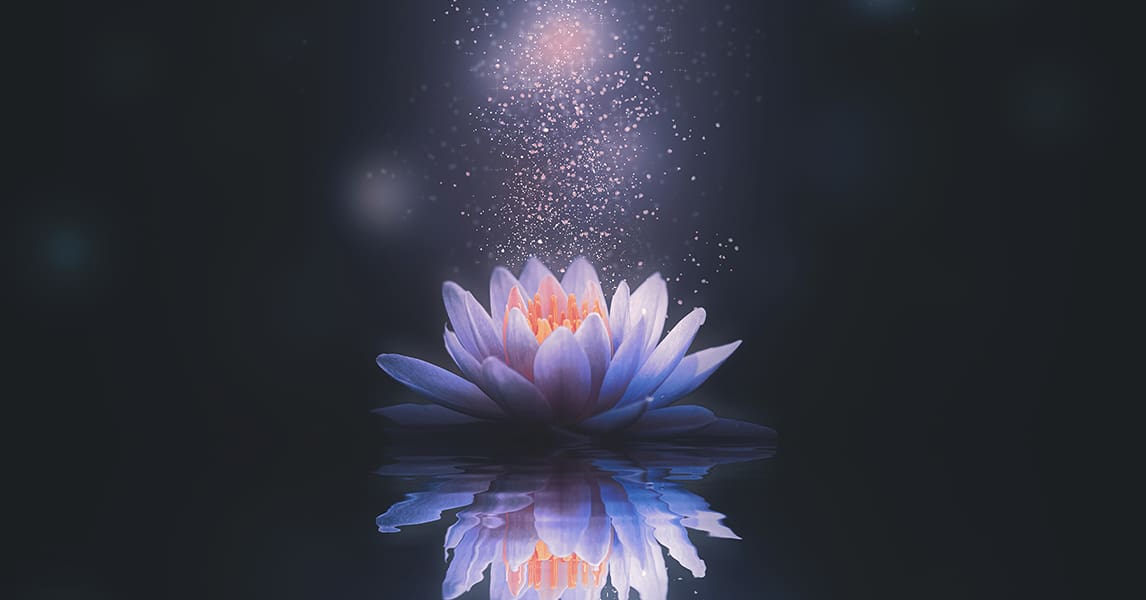 Featured image for “Everything Spiritual Fall”