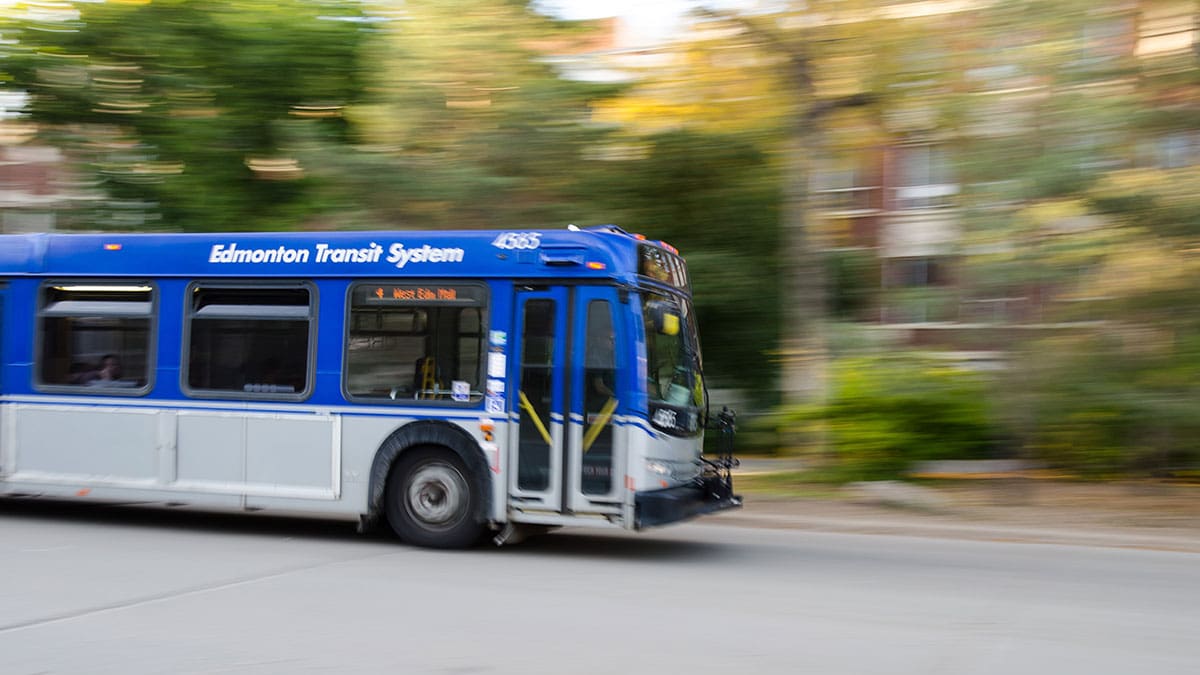 Try the Bus! A Simple Start for Seniors