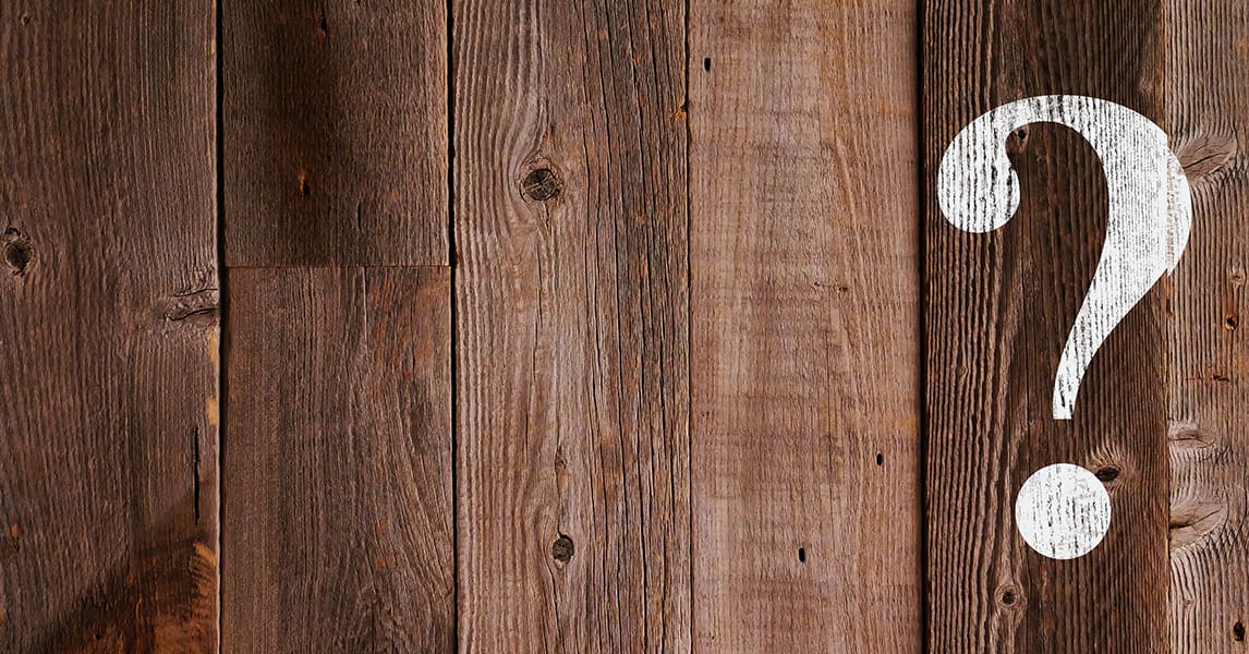 Trivial Pursuits & Winter Boots