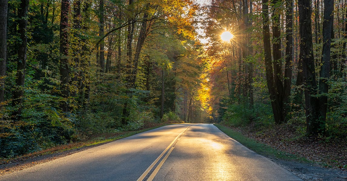 Featured image for “Travel Trip – Step Back in Time: A Journey Along the Victoria Trail”