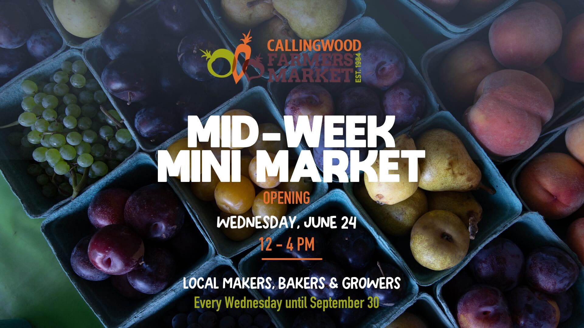 Featured image for “WE Seniors Edmonton at Callingwood Farmers’ Market 2026”